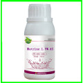 Botanic source insecticide  sophocarpidine